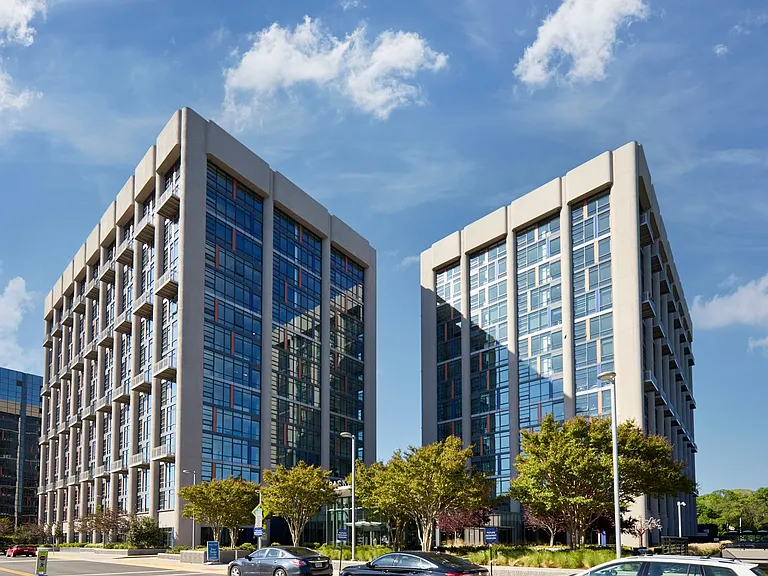 Park + Ford — Photo 72