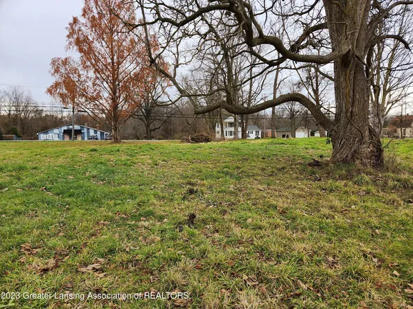 Wacousta Rd, Grand Ledge, MI 48837