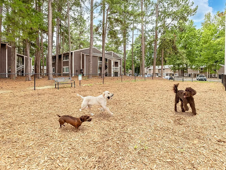 Leash-Free Dog Park at Keystone at Fayetteville, NC