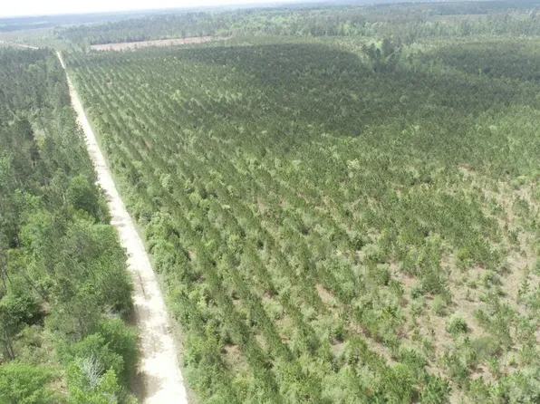 0 Unnamed Rd, Dequincy, LA 70633