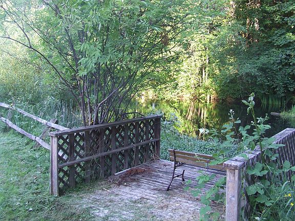 pond and dock