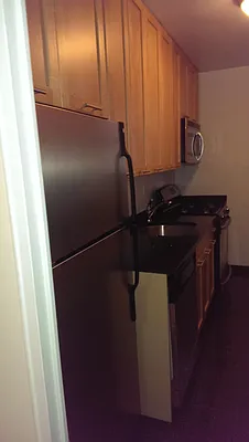 Rented by Manhattan Apartment Organization | media 14