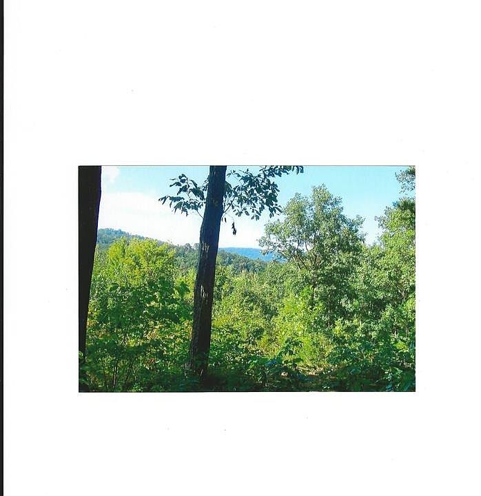 2nd image of 5 Glassy View Ln