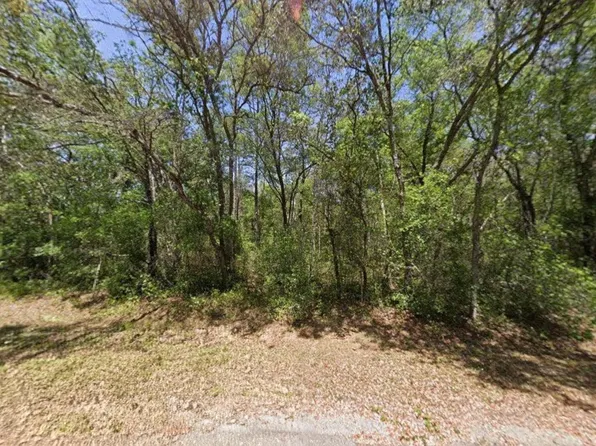 Guava Lane Trak, Ocklawaha, FL 32179