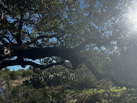 5th image of 101 Twin Creek Rd