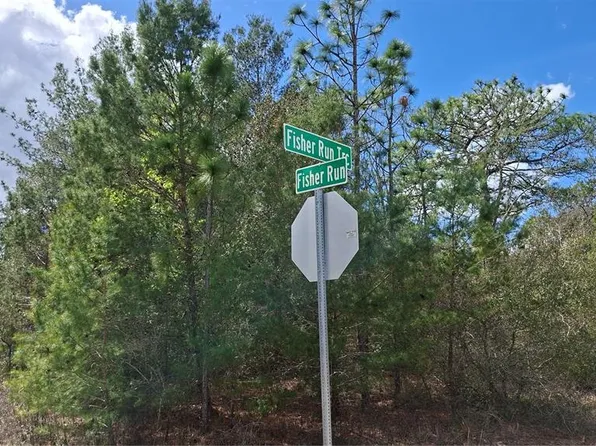 Fisher Run Lot 6, Ocklawaha, FL 32179