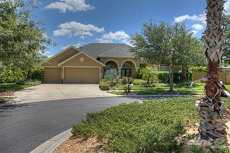 West Meadows New Tampa Homes