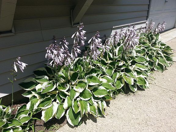 4th image of 462 Argyle Cres