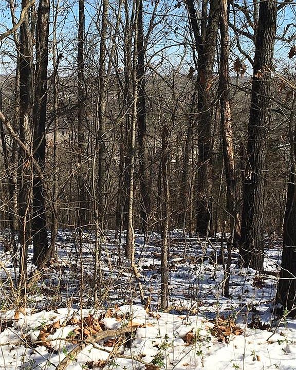2nd image of Parlton Ln