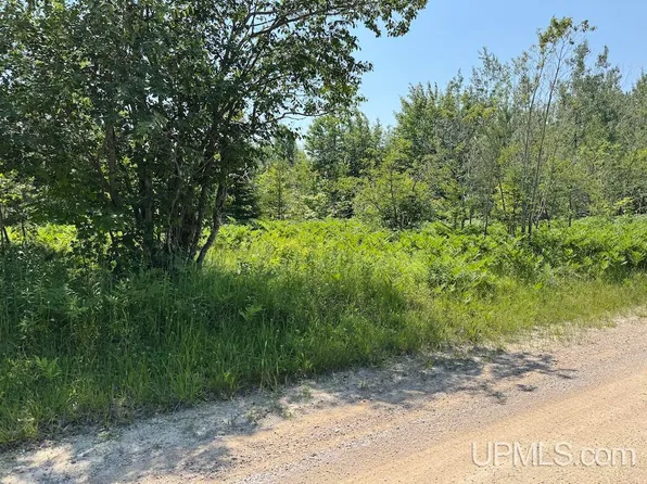 Webb Rd, Grand Marais, MI 49839