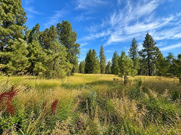 Bootstrap Ln Lot 1, Cheney, WA 99004