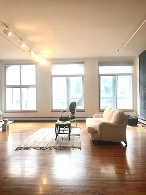 Rented by True Lofts New York LLC | media 13