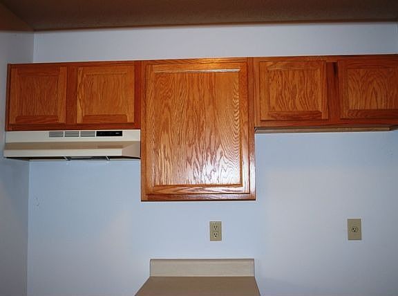 Oak Cabinets in Kitchen
