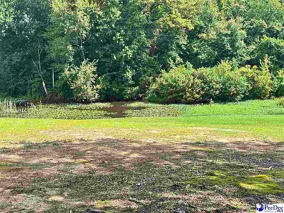 3rd image of 1925 Timmonsville Hwy