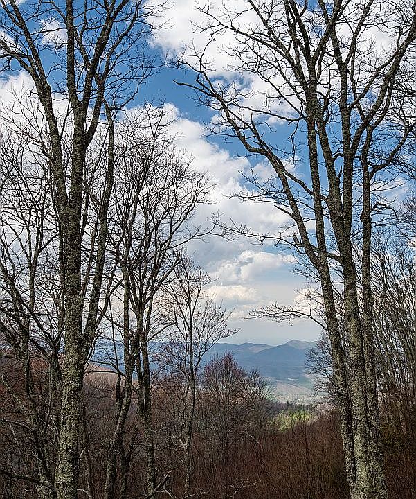 1st image of 2955 Round Mountain Rd