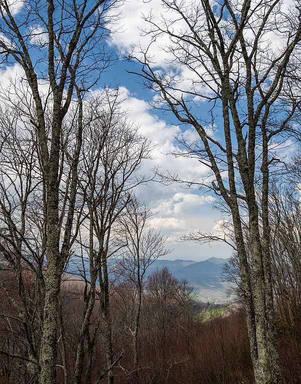 2955 Round Mountain Rd - Property Image