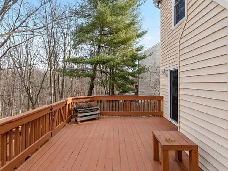 12843 Climbing Ivy Dr — Photo 8