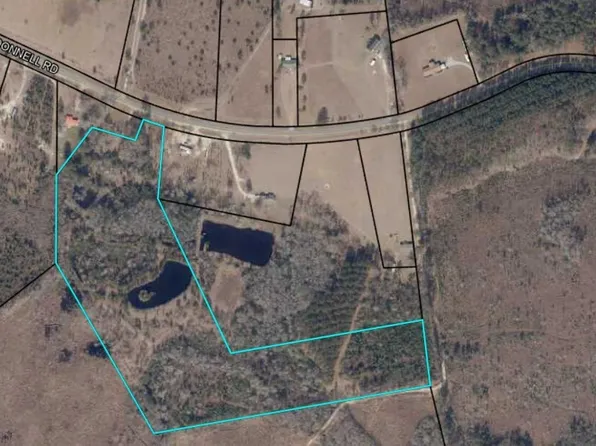 12902 Donnell Rd, Cobbtown, GA 30420