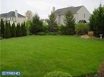 The most amazing backyard