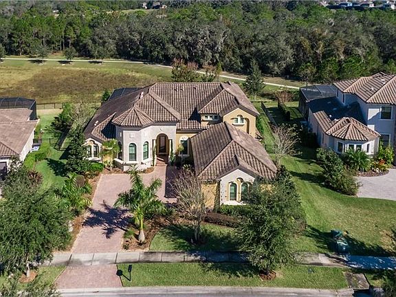 2nd image of 15210 Fishhawk Preserve Dr