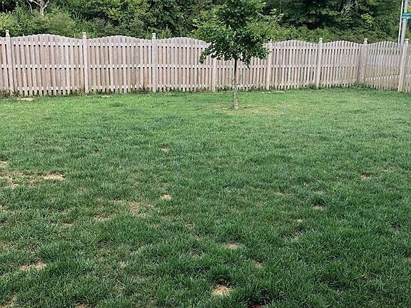 3rd image of 4547 Plowman Dr