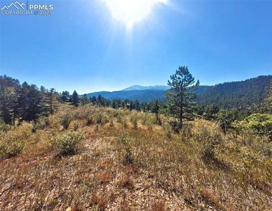 520 Sunny Glen Ct, Woodland Park, CO, 80863