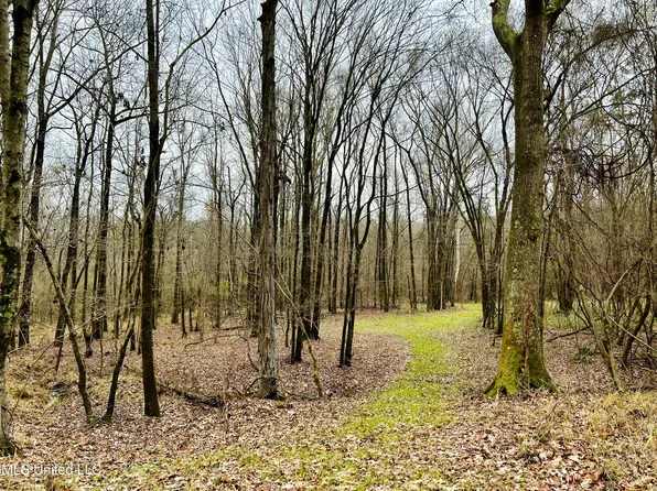 873 Pocahontas Rd, Flora, MS 39071
