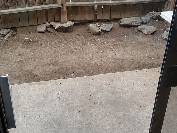 fenced back patio