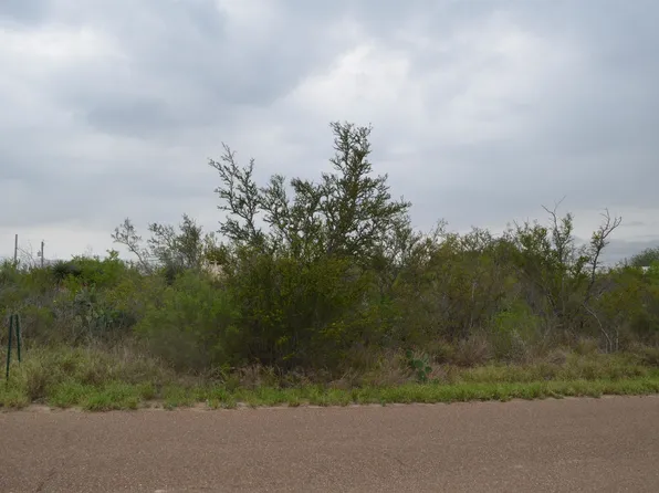 5107 Grande Ln, Zapata, TX 78076