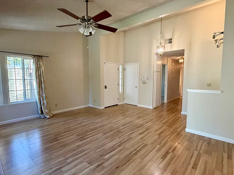 34200 Gadwall Cmn — Photo 2