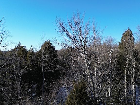 4th image of M7l31nelson Ridge Rd N