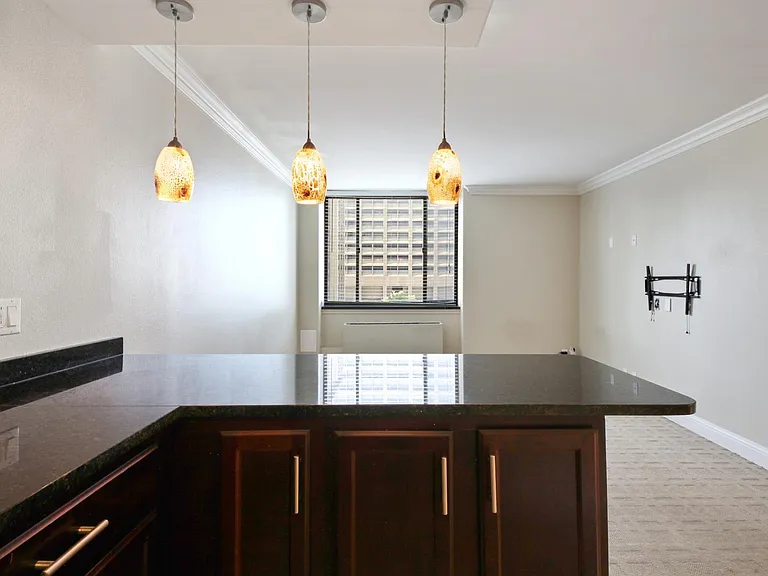700 E 8th St #14G — Photo 9