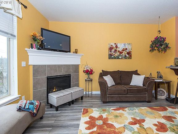 TV living and fire place