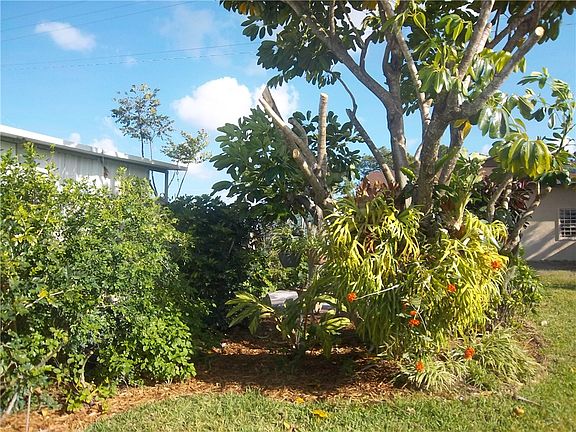 4th image of 358 NE Tropicalia Ln