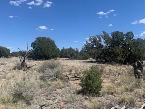 135 S Wyandotte Rd, Williams, AZ 86046