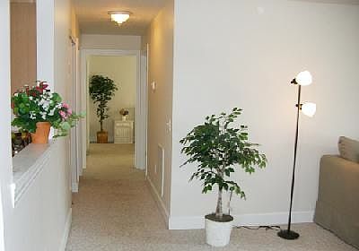 4th image of 402 Jorpark Cir