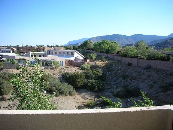 mtn view from upper deck