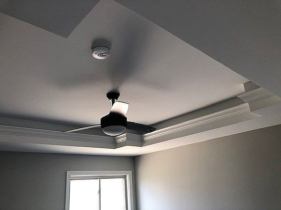 Master Tray Ceiling 