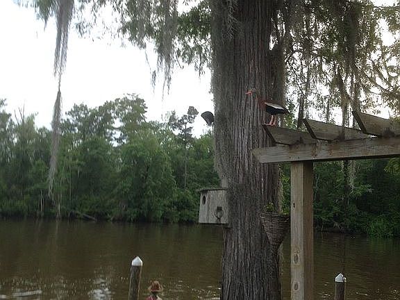 2nd image of 69047 S River Dr