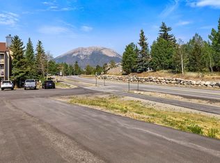 3452 Ryan Gulch Rd, Silverthorne, CO 80498