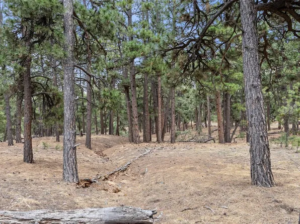8653 N Teacup Road, Elbert, CO 80106