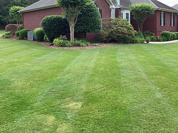 Immaculately kept lawn.