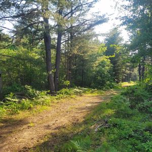 Lot A Bean Street, Hollis Center, ME, 04042