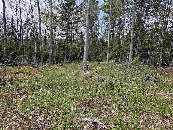 3rd image of Lot 10.1 Wallace Hill Road