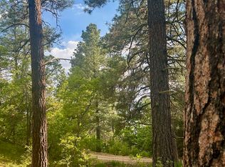 TRACT 266 Gallina Canyon Rd #B, Valdez, NM 87580