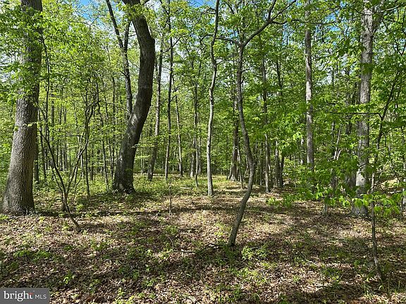 3rd image of 13.06 Pine Trail Dr