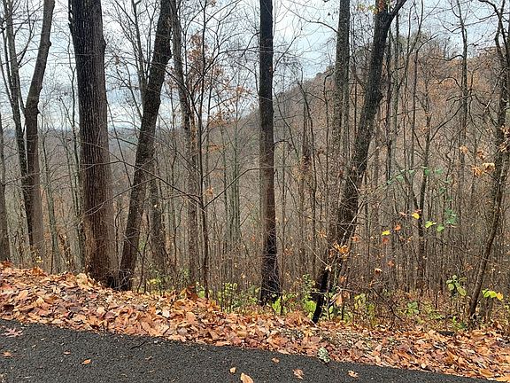5th image of 13 Emerald Springs Loop Lot 13