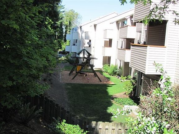 Our Verdant Back Yard