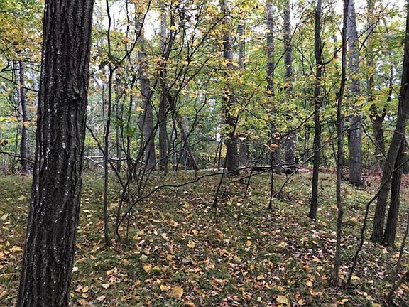 2nd image of 9080 Boggie Dr