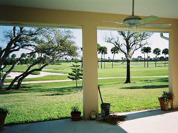 view from patio